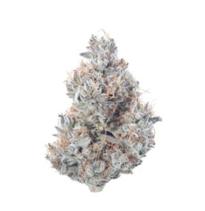 Purple Dump Truck | Team Elite Genetics | Flower | 3.5g