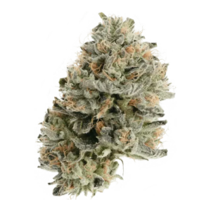 Grape Gasby | CBX | Flower | 3.5g