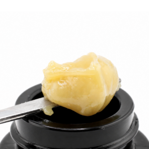 Bolo Runtz | The Bryantist | Live Rosin Badder | 2g
